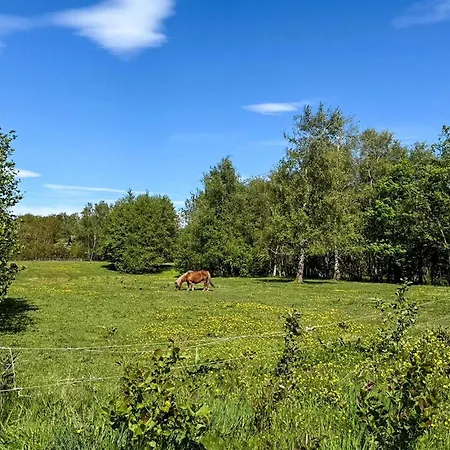 Prázdninový dům 2 Bedroom In